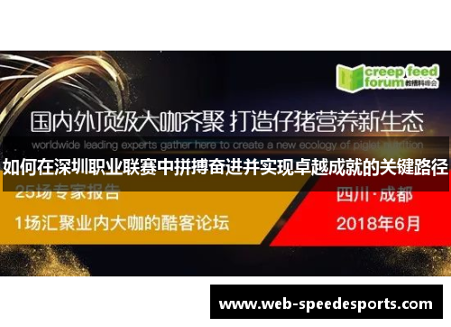 如何在深圳职业联赛中拼搏奋进并实现卓越成就的关键路径