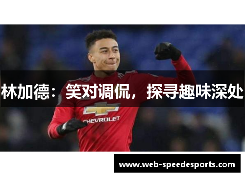 林加德：笑对调侃，探寻趣味深处