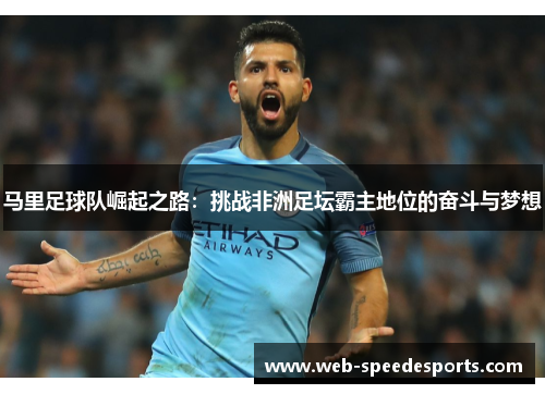 马里足球队崛起之路：挑战非洲足坛霸主地位的奋斗与梦想